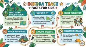 kokoda trail for kids